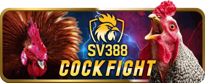 Các bước tham gia chương trình VIP 788win login